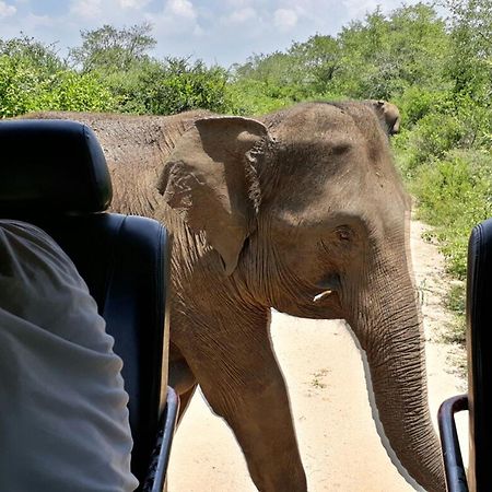 Big Game Udawalawe - By Eco Team Hotel ภายนอก รูปภาพ
