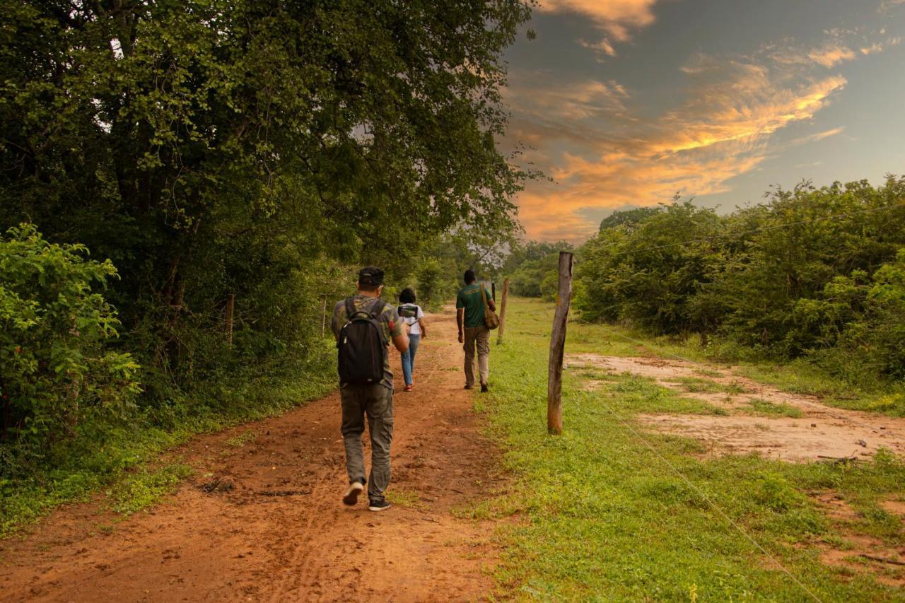 Big Game Udawalawe - By Eco Team Hotel ภายนอก รูปภาพ