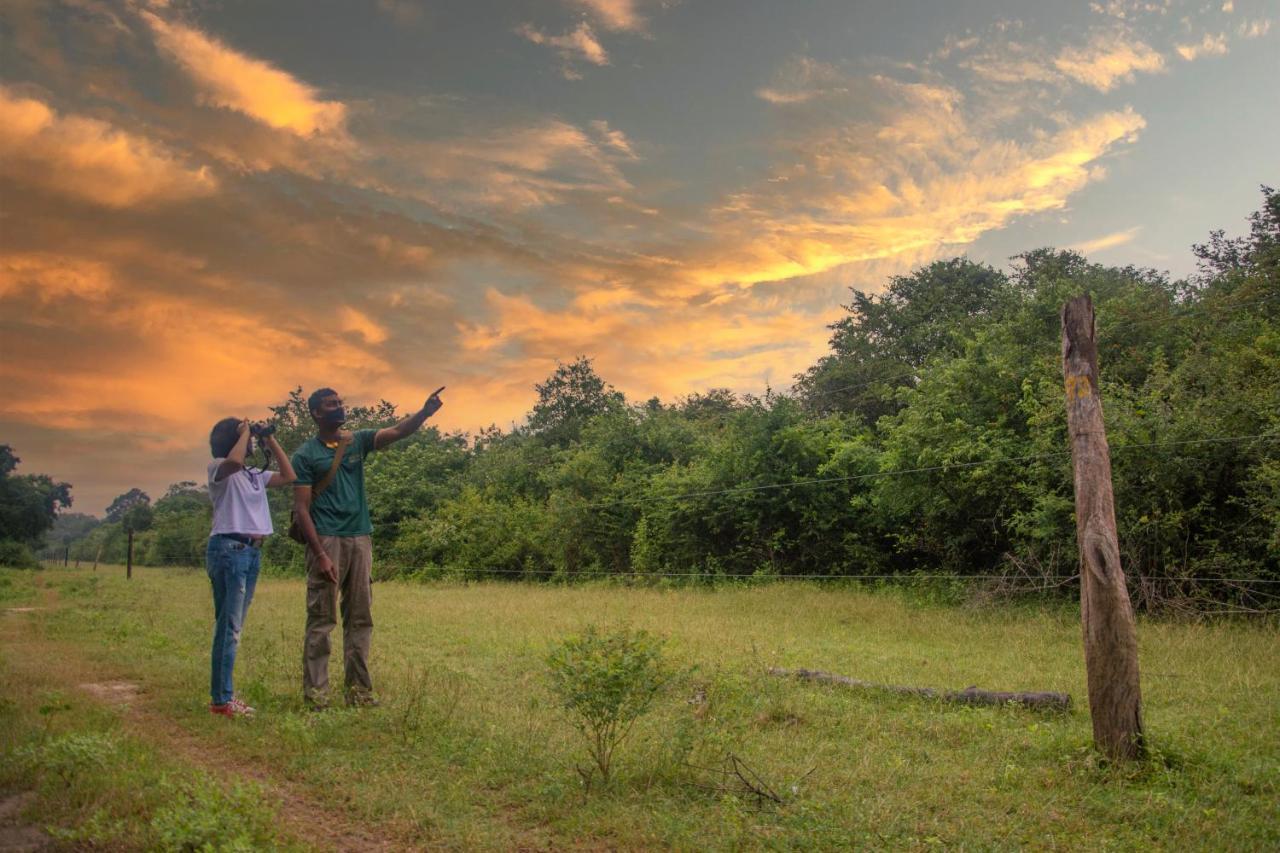 Big Game Udawalawe - By Eco Team Hotel ภายนอก รูปภาพ