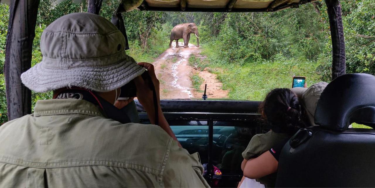 Big Game Udawalawe - By Eco Team Hotel ภายนอก รูปภาพ