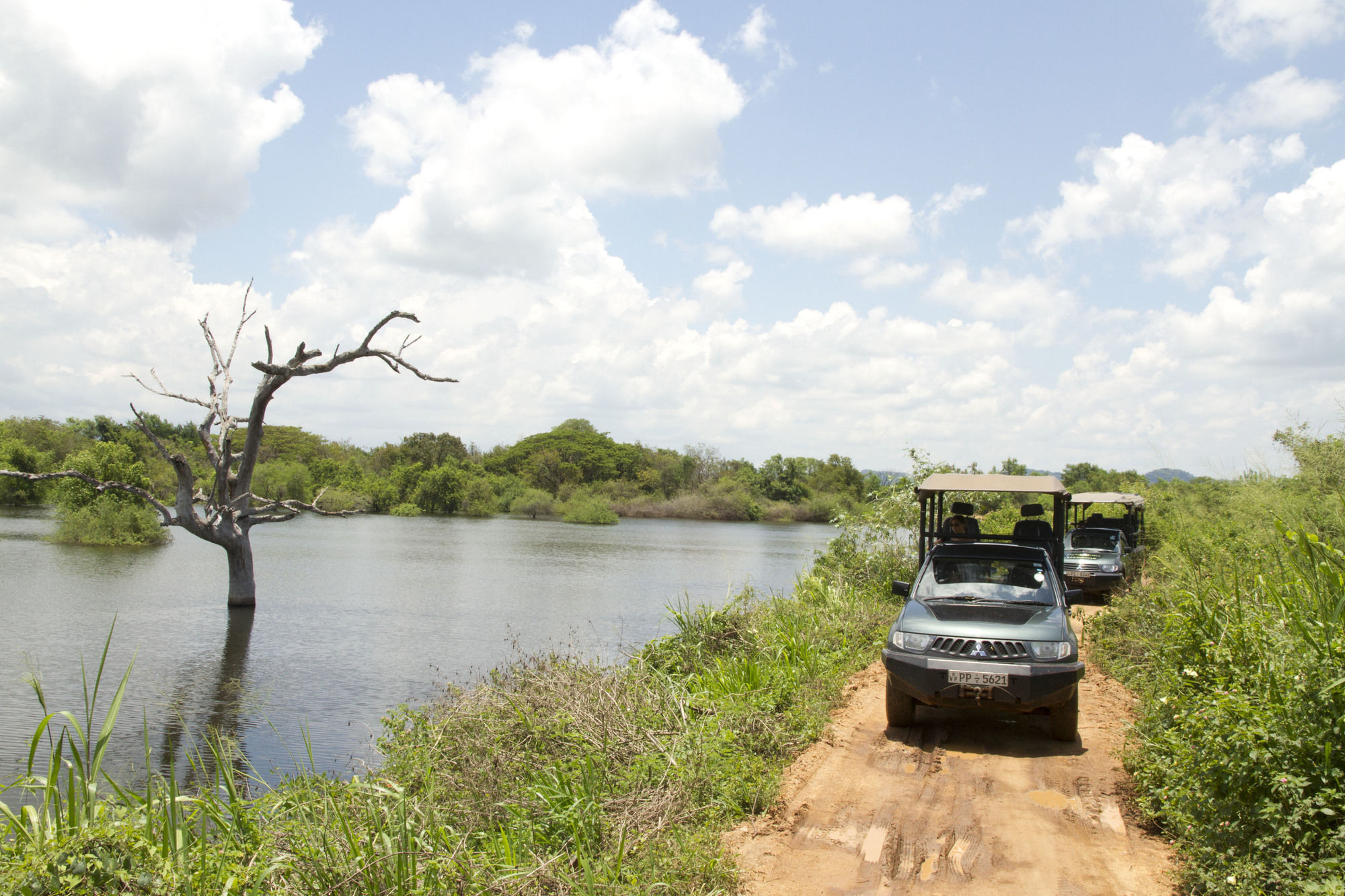 Big Game Udawalawe - By Eco Team Hotel ภายนอก รูปภาพ