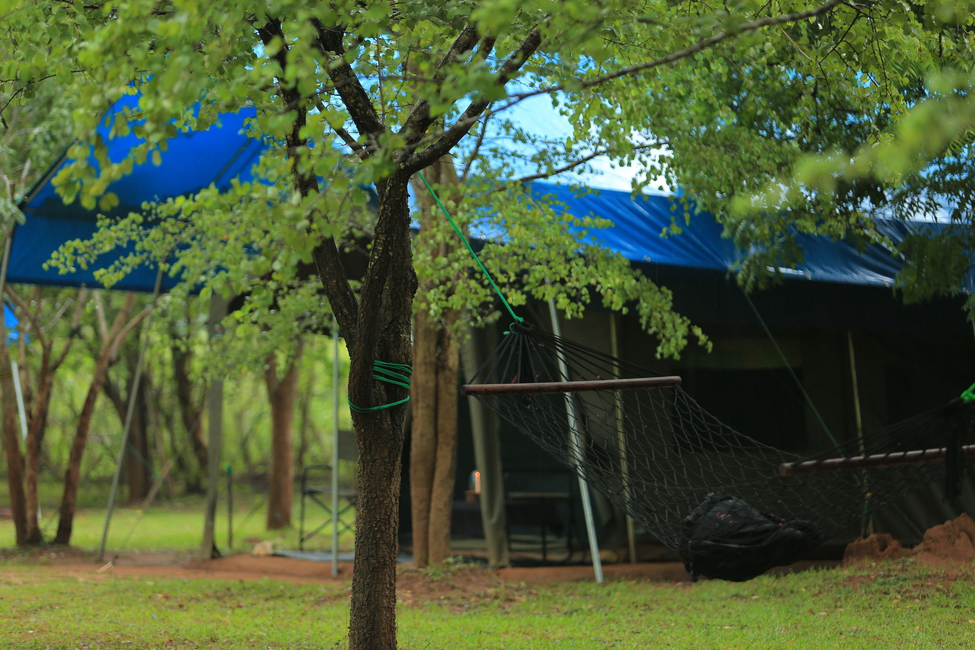 Big Game Udawalawe - By Eco Team Hotel ภายนอก รูปภาพ