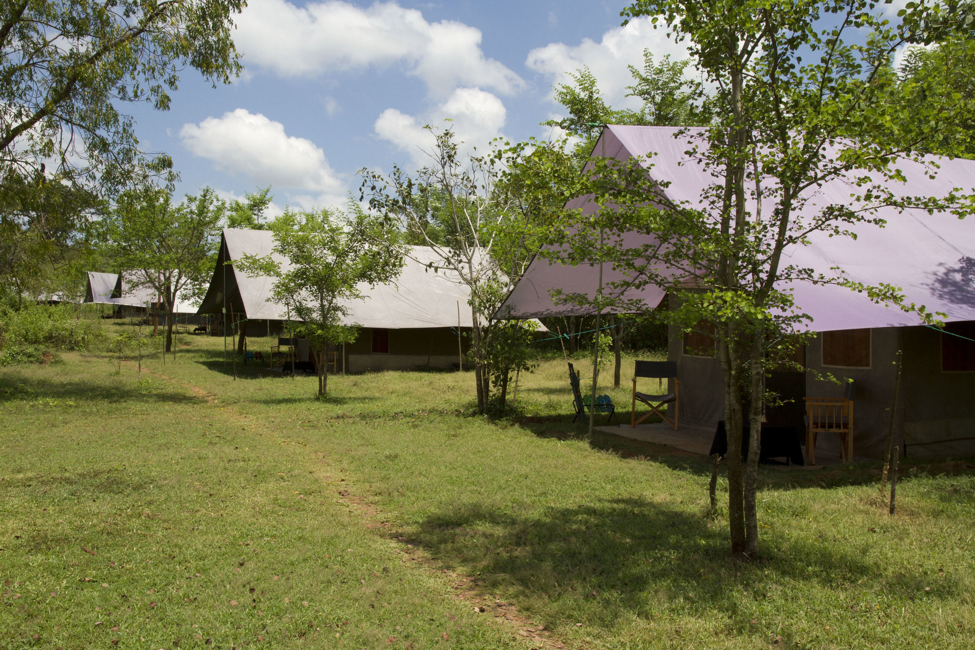 Big Game Udawalawe - By Eco Team Hotel ภายนอก รูปภาพ