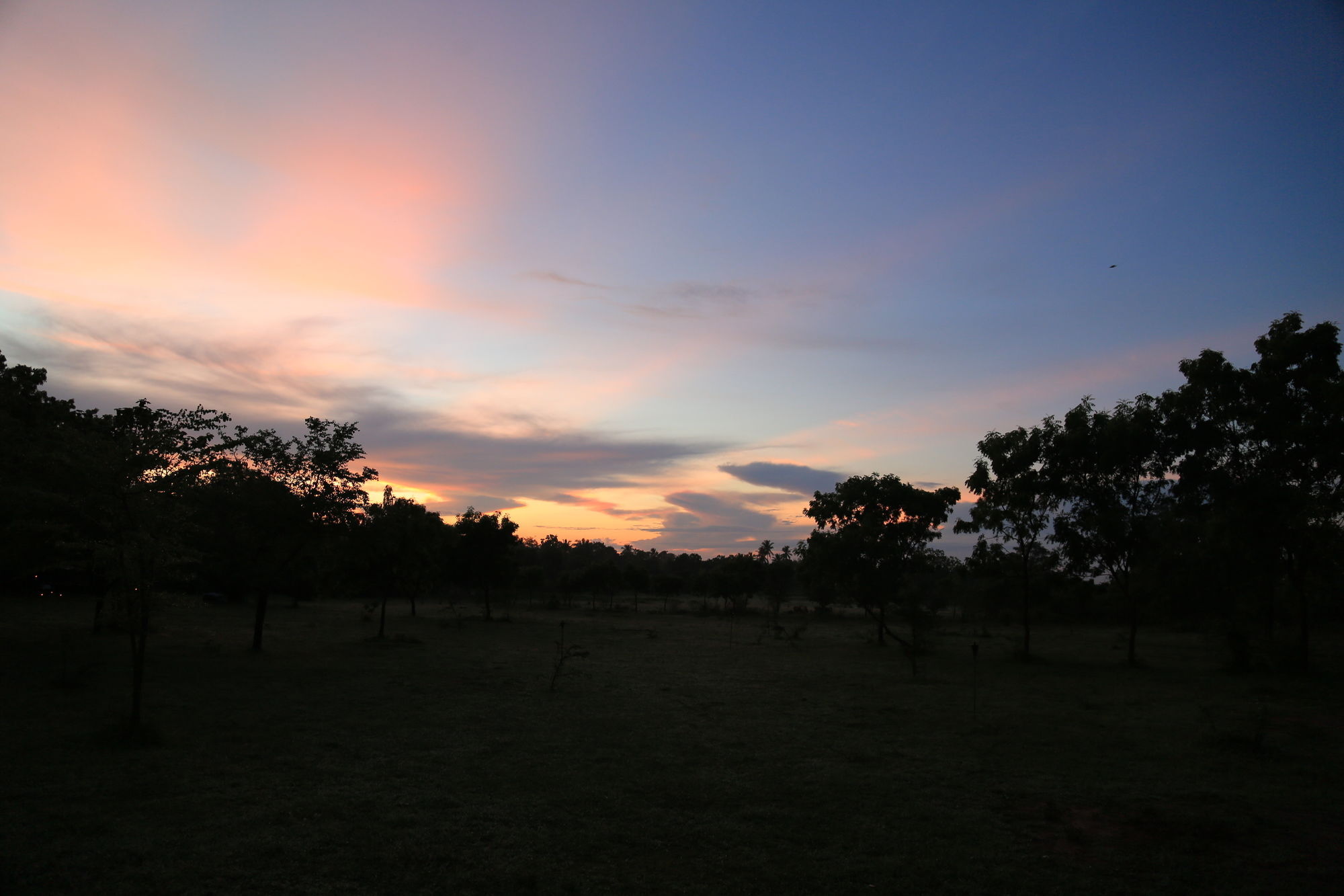 Big Game Udawalawe - By Eco Team Hotel ภายนอก รูปภาพ