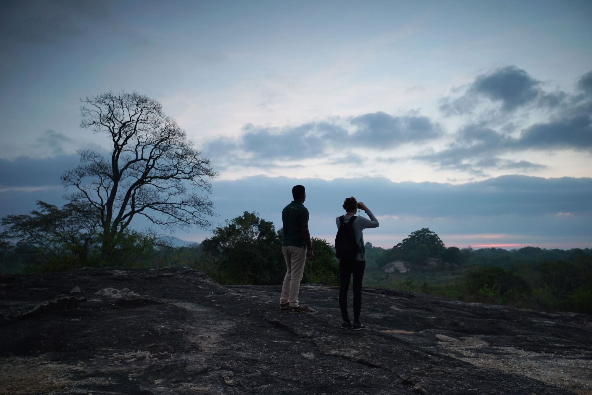 Big Game Udawalawe - By Eco Team Hotel ภายนอก รูปภาพ